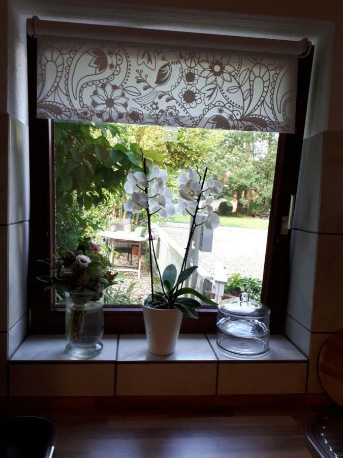 Ferienwohnung Weitblick Wolfshagen  Zewnętrze zdjęcie