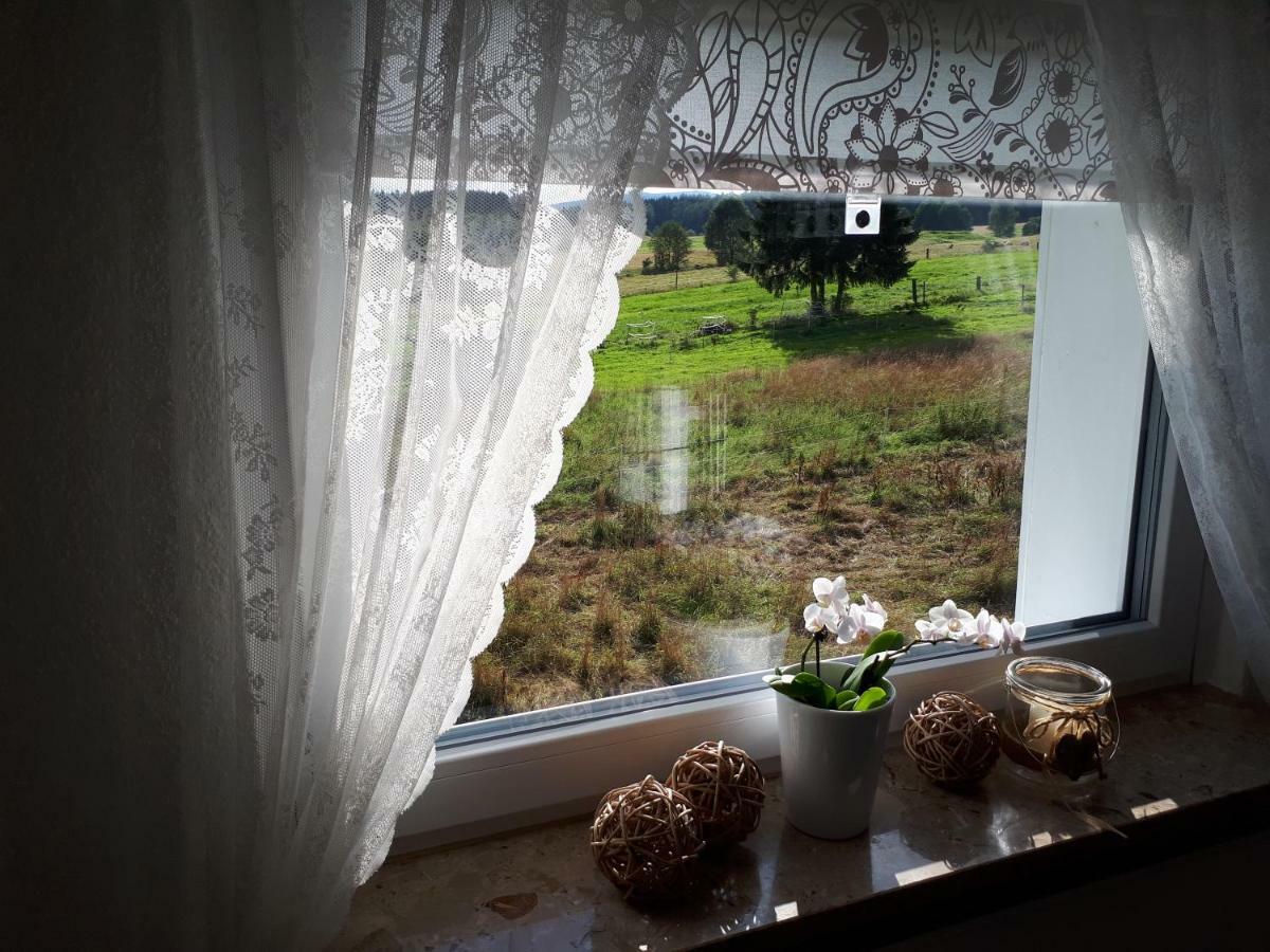 Ferienwohnung Weitblick Wolfshagen  Zewnętrze zdjęcie
