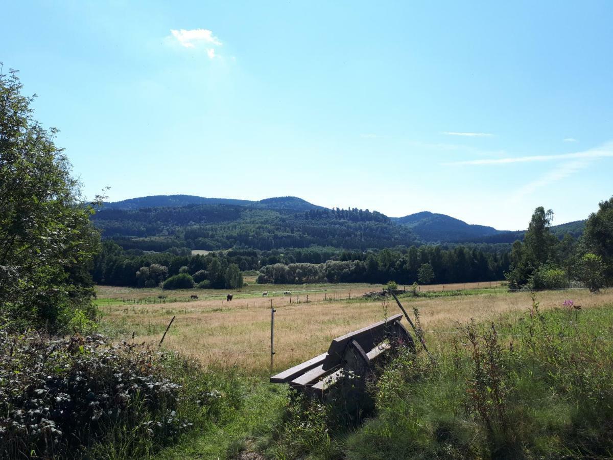 Ferienwohnung Weitblick Wolfshagen  Zewnętrze zdjęcie